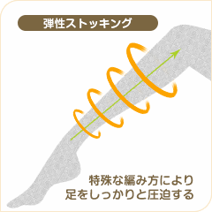 弾性ストッキングのしくみ