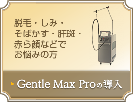 脱毛・しみ・そばかす・肝斑・赤ら顔などでお悩みの方→GentleMaxProの導入